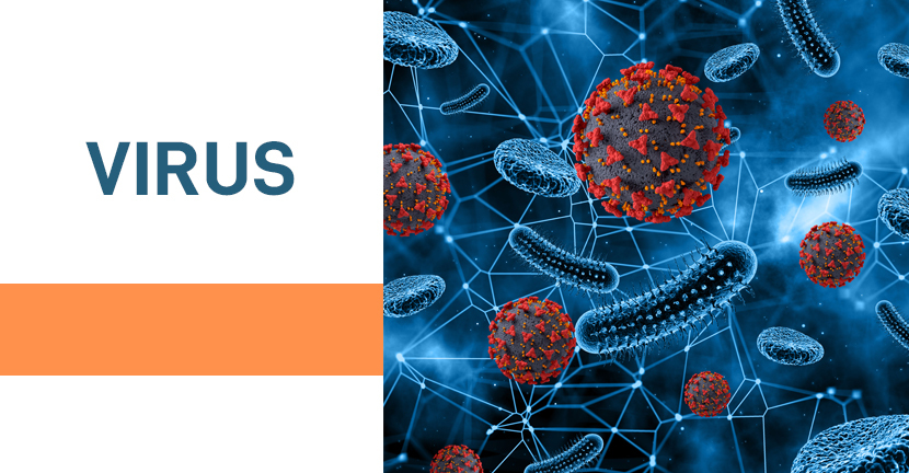 Los virus y el futuro de la medicina